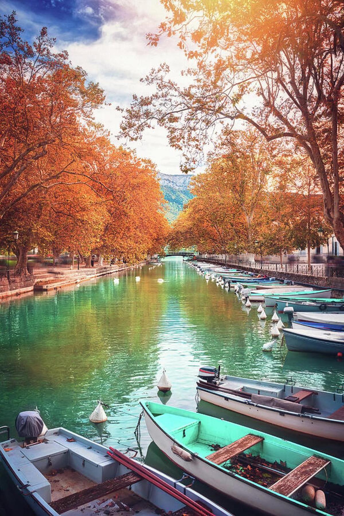 Reflet Bleu Du Lac D'Annecy 3 Etoiles - Face Au Lac, Parking Gratuit, Paddle Board Doussard Ngoại thất bức ảnh